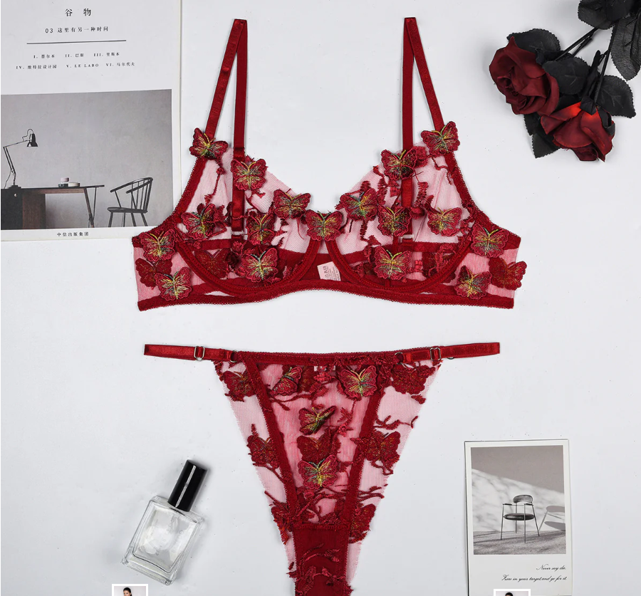 Crimson Bloom – Embroidered Lace Lingerie Set | BodyTolk