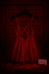Satin Red Lace Nighty || BodyTolk
